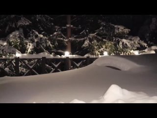 a girl sucks a dick in the snow on new year's eve merry christmas blowjob in suck snow my cock cumshot